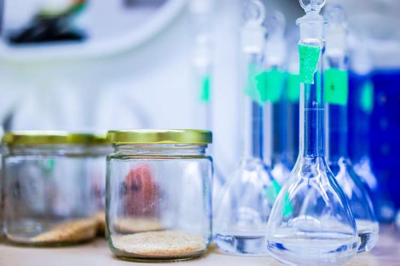 抗体定制技术在生物科学中的应用进展