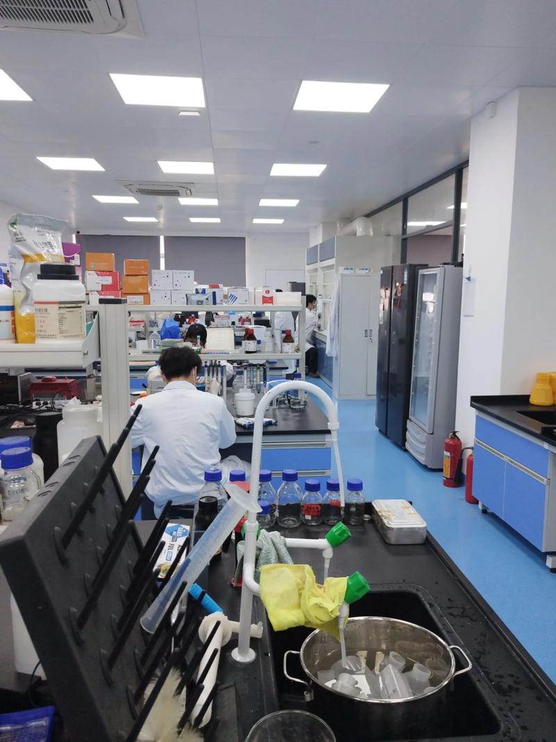抗体定制行业新动态:未来趋势与机遇