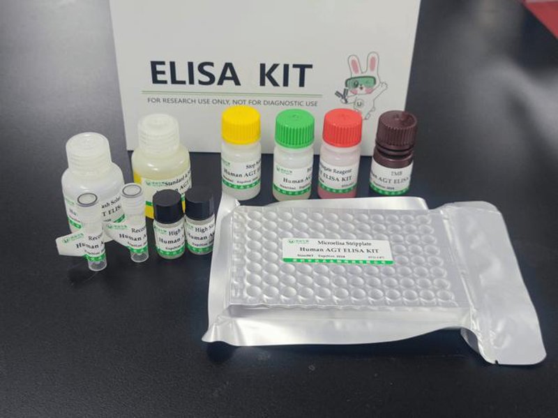 蛋白表达技术：推动生命科学研究的新引擎
